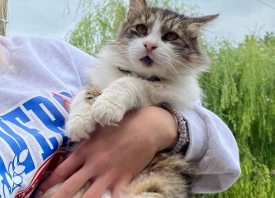 15.2023_Nedavno udomljeni_Zivko