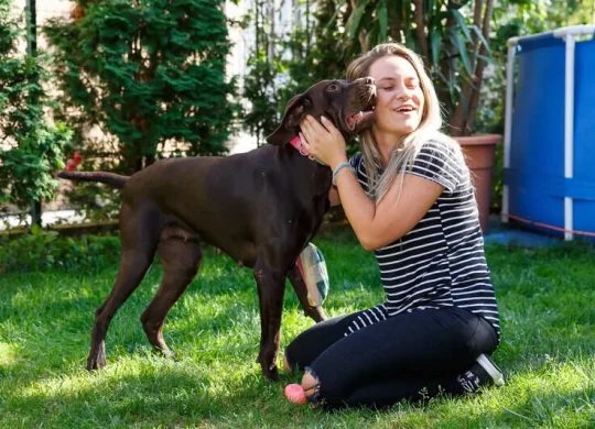 Koji ljubimac je za vas?