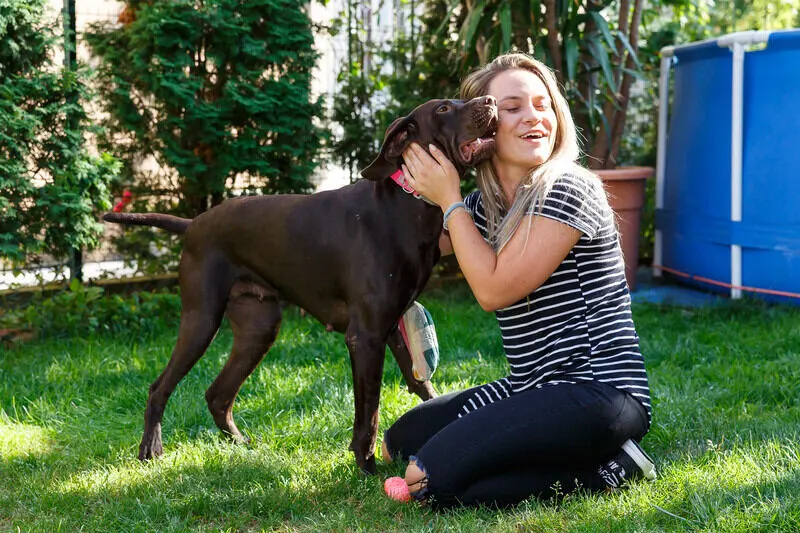 Blog-Koji-ljubimac-je-za-vas