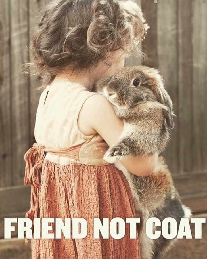 Friend not a coat