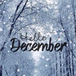 Hello_December