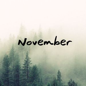 November_Hero